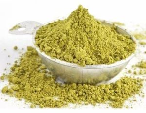 Nirgundi Extract Powder