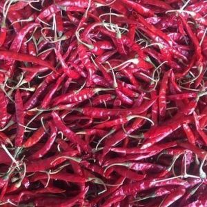 Premium Khammam Teja Dry Red Chilli