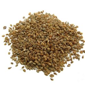 Celery Seeds