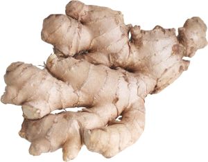 Fresh Ginger