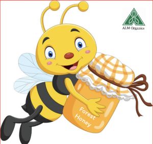 Organic forest Honey