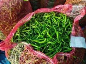 Fresh Green Chilli