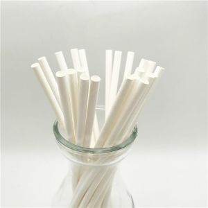 Plain Paper Straw