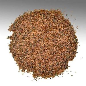 Taramira Cattle Feed