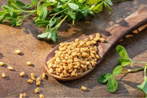 Fenugreek Seeds