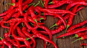 Fresh Red Chilli