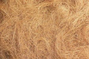 Coconut Coir Fiber