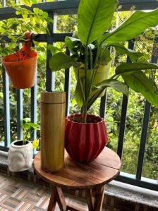 Digital Bamboo Flask Bottle