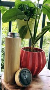 Digital Bamboo Flask Bottle