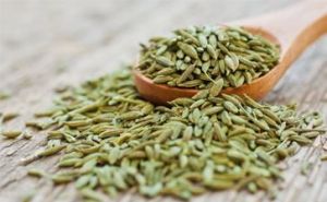 Fennel Seeds