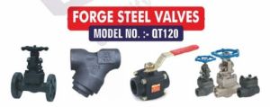 Forged steel valves