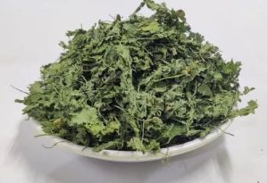 Dried Coriander Leaves