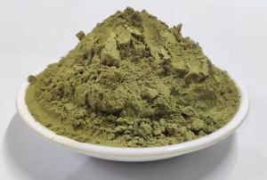 Tulsi Powder