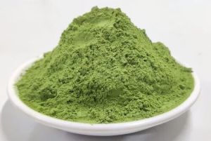 Wheat Grass Powder