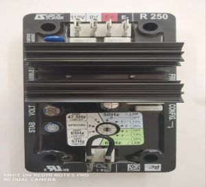 AVR LS R250 Automatic Voltage Regulator