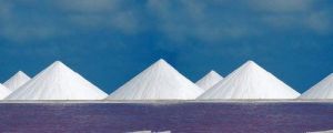 Free Flow Iodized Salt