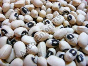 Black Eyed Peas Beans