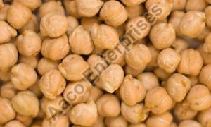 Chickpeas Beans