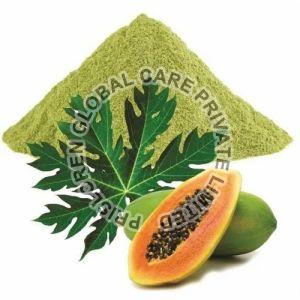 Papaya Leaf Powder