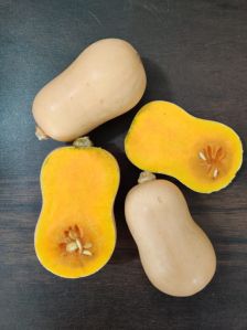 butternut squash