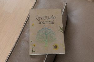 Simple Gratitude Journal Book