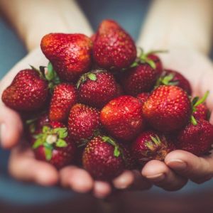 Strawberry Fruit Filling