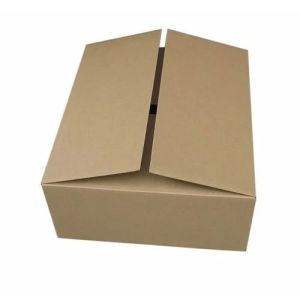 Plain Carton Box