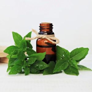 Holy Basil Essential Oil