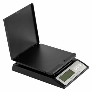 Electronic Compact Scale