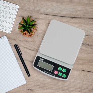Electronic Compact Scale