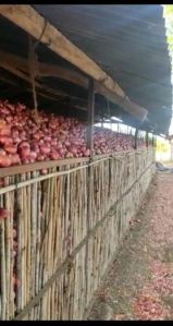 Nashik stock quality onion