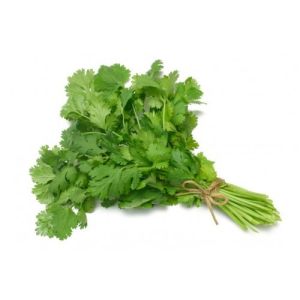 Fresh Coriander