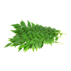 Fresh Curry Leaves