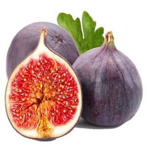 Fresh Fig