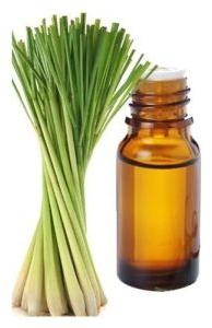 Lemongrass Oil