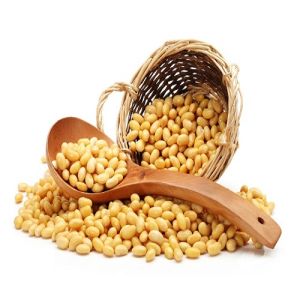 Soybean Seeds