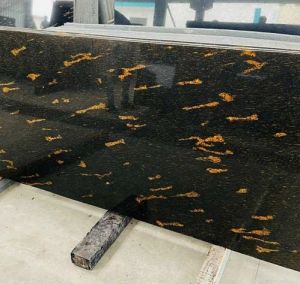 Fish Gold Granite Slab