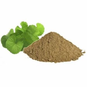 Brahmi Powder