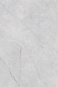 910005 Alexa Grey Polished Vitrified Tiles