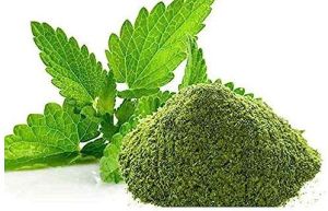 Mint Leaves Powder