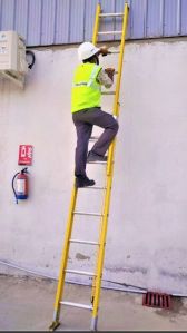 Youngman FRP Extension Ladder