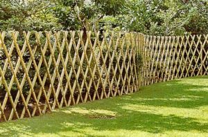 Bamboo Boundary Wall