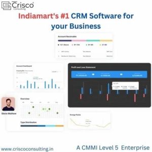 CRM Software Developing Service