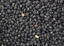 Black Gram Seeds