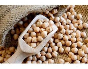 chickpea seeds