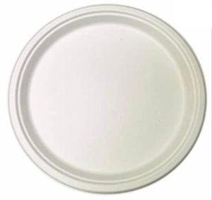 10 Inch Sugercane Bagasse Disposable Plate