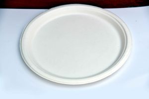 12 Inch Sugercane Bagasse Disposable Plate