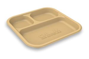 3 CP Rectangular Sugercane Bagasse Disposable Plate