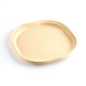 7 Inch Sugercane Bagasse Disposable Plate