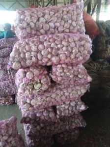 Kashmiri china garlic